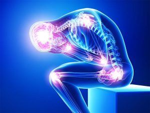 A 3D medical illustration of a seated person in a hunched position, with a translucent blue body showing a glowing skeleton. Bright pink highlights illuminate the brain, spine, hips, and joints to visualize chronic pain."